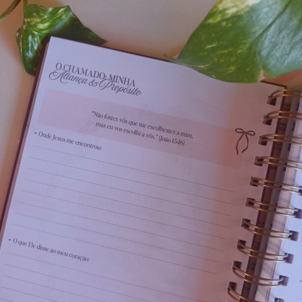 Caderno Devocional Encontro com Jesus