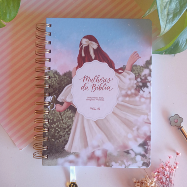 Devocional Guiado 30 Mulheres da Bíblia - Volume 02