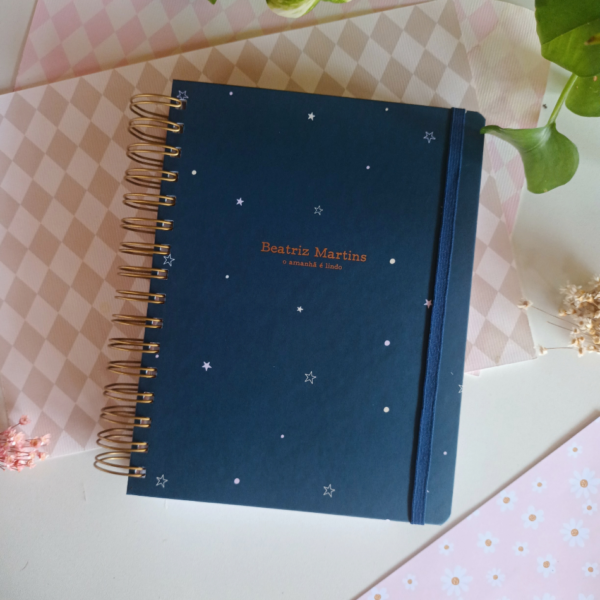 Big Planner 2027 Stars